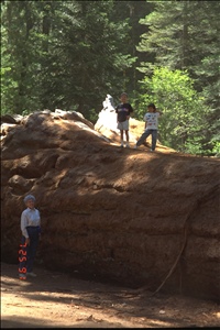 9400 0654 wdc yosemite ca hiImg0018.jpg